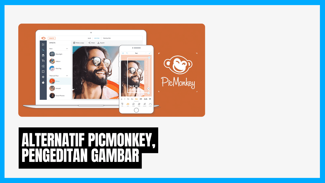 alternatif picmonkey untuk pengeditan gambar online terbaik