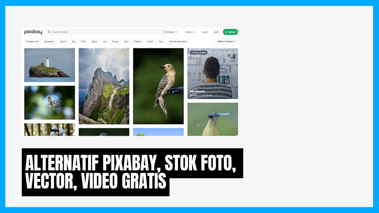 alternatif pixabay stok foto gambar vector video gratis