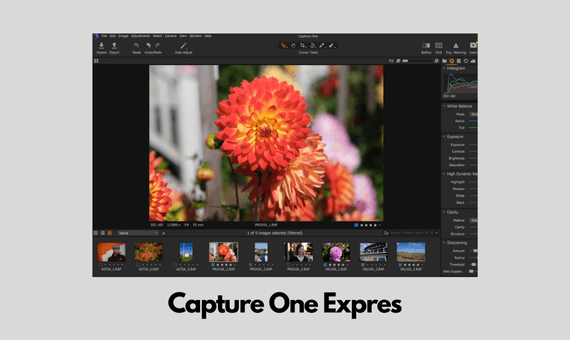 capture one express