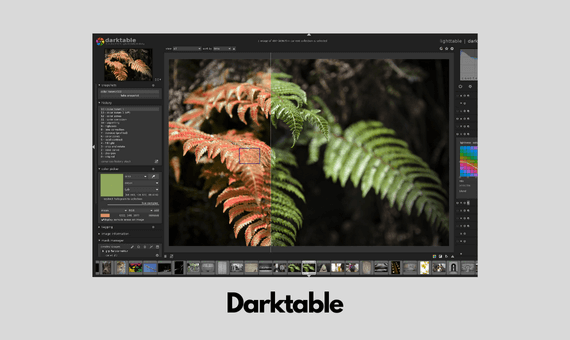 darktable