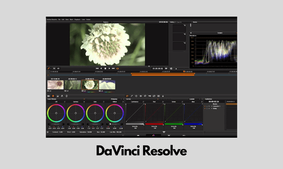 davinci resolve